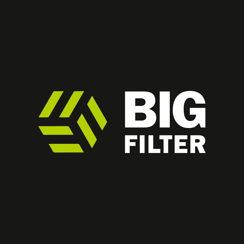 Логотип BIG FILTER